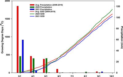 Photoselective Shade Films Mitigate Heat Wave Damage by Reducing Anthocyanin and Flavonol Degradation in Grapevine (Vitis vinifera L.) Berries